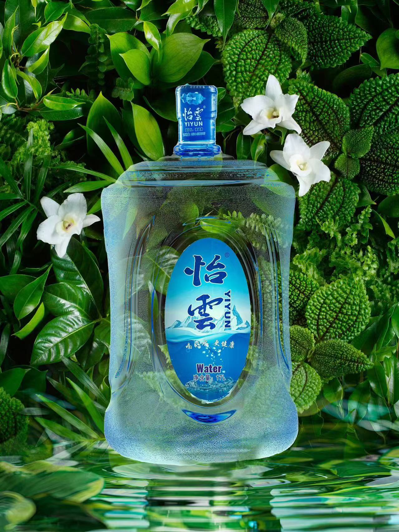 怡云纯净水-博士研发二号(17L)